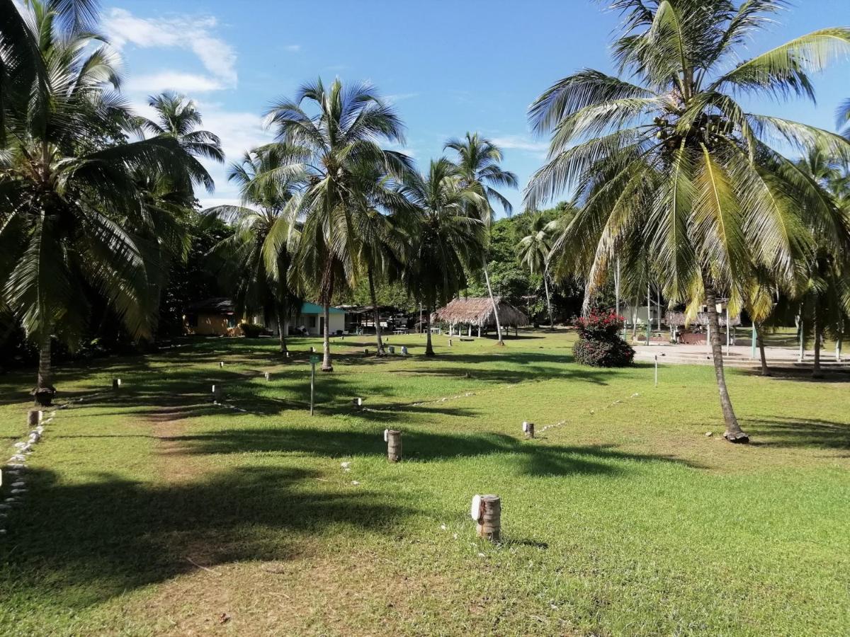 埃尔扎伊诺Camping Castilletes Parque Tayrona住宿加早餐旅馆 外观 照片