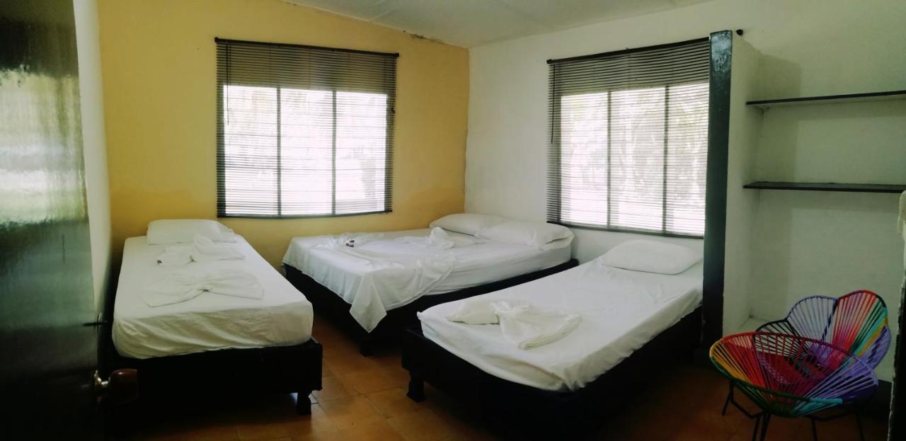 埃尔扎伊诺Camping Castilletes Parque Tayrona住宿加早餐旅馆 外观 照片