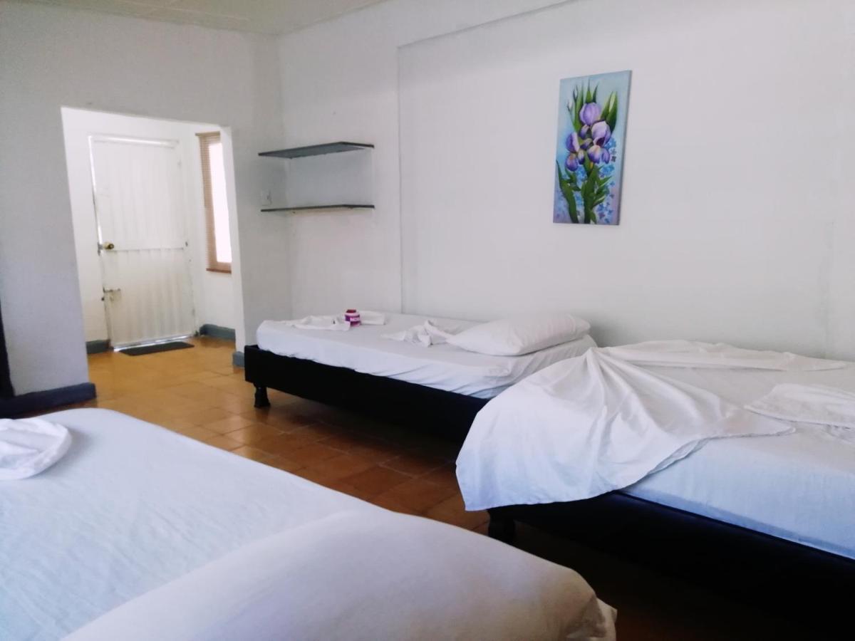 埃尔扎伊诺Camping Castilletes Parque Tayrona住宿加早餐旅馆 外观 照片