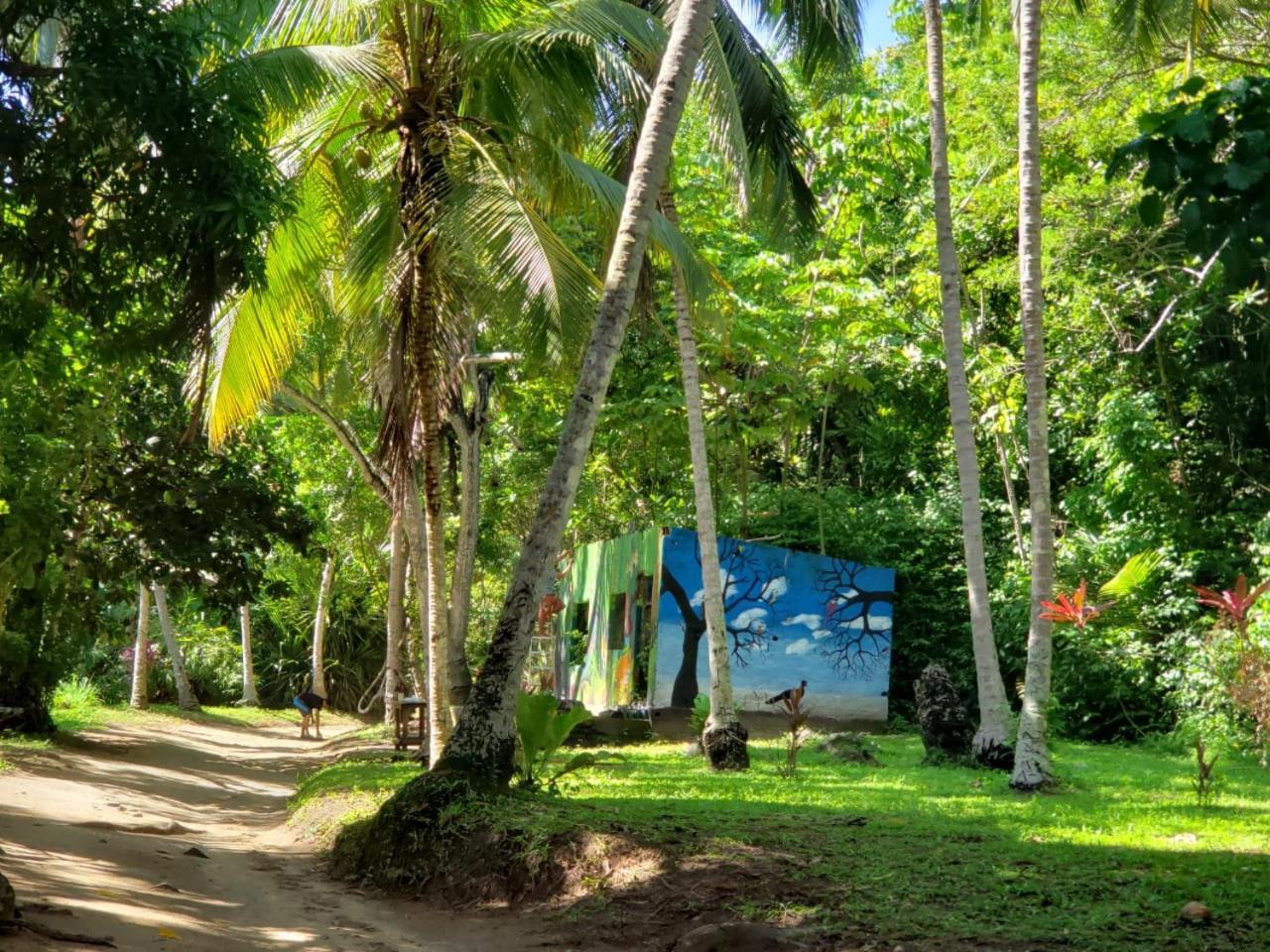 埃尔扎伊诺Camping Castilletes Parque Tayrona住宿加早餐旅馆 外观 照片