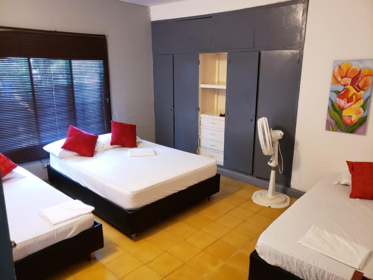 埃尔扎伊诺Camping Castilletes Parque Tayrona住宿加早餐旅馆 外观 照片